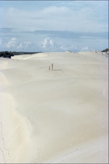 Itaúnas: Desastre Ecológico