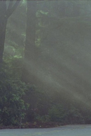 California Picture Book