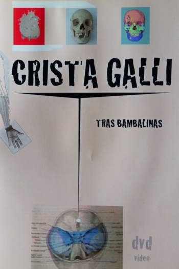 Crista Galli: Tras Bambalinas