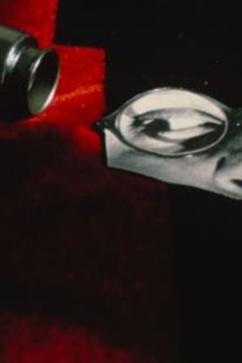 Fashion from New York