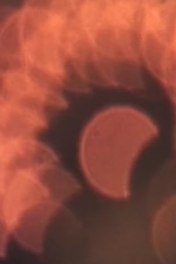 Idea assurda per un filmaker - Luna