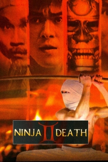 Ninja Death 2