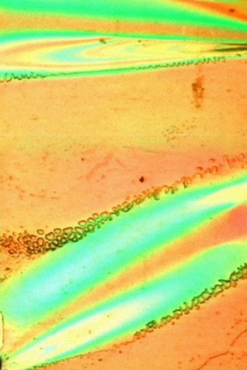 Gossamer Conglomerate