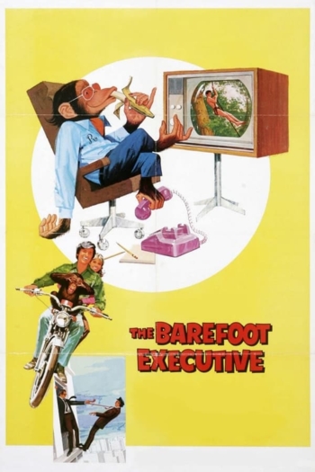 The Barefoot Executive