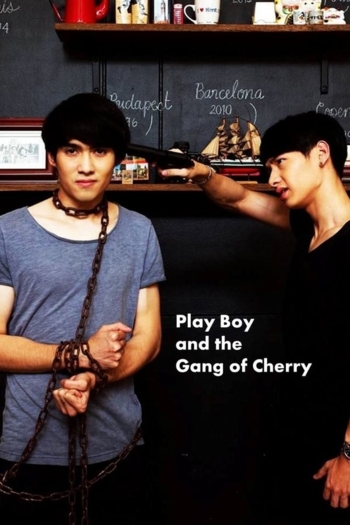 PlayBoy (and the Gang of Cherry)