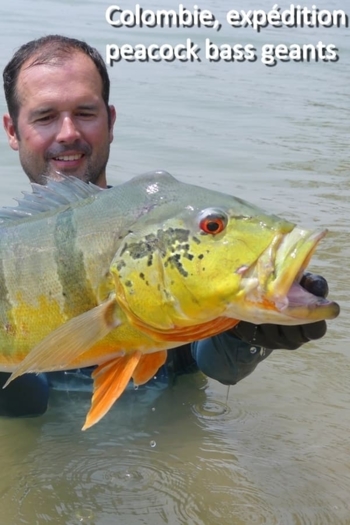 Colombia, A Giant Peacock Bass Expedition