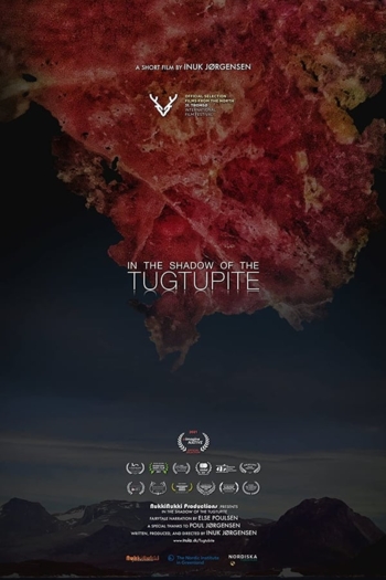 In the Shadow of the Tugtupite