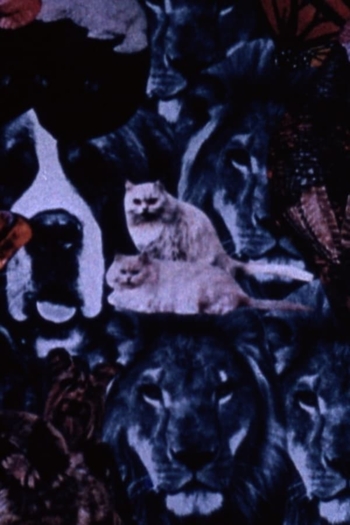 You're Not Real Pretty but You're Mine...