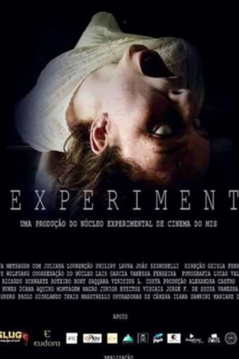 The Experiment