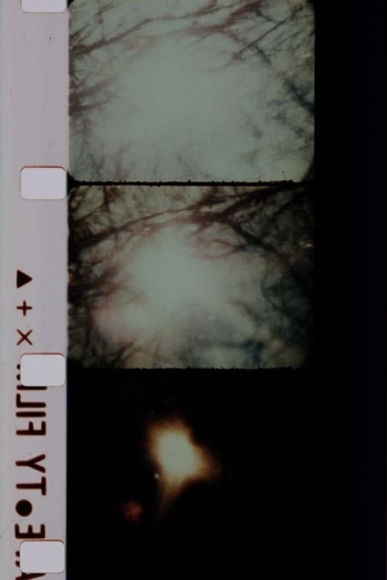 Signaux lumineux pour un ballet nuptial