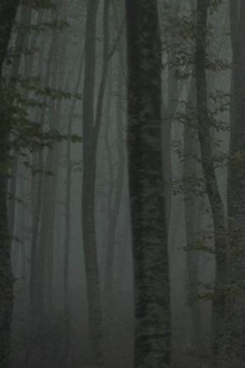 Refuge II: The Ice Path