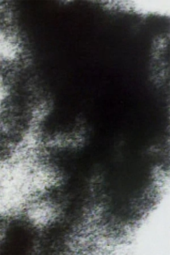 Friends Along the Way