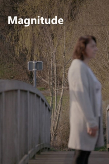 Magnitude