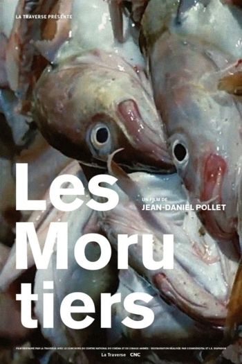 Les Morutiers