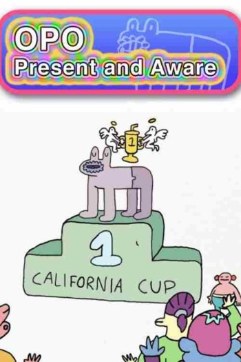 Opo: Present and Aware