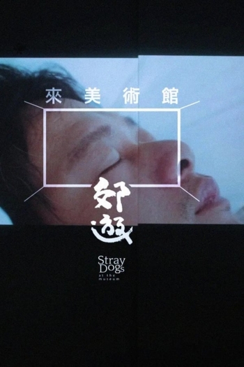 Stray Dogs at the Museum