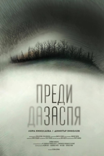 Before I Go to Sleep