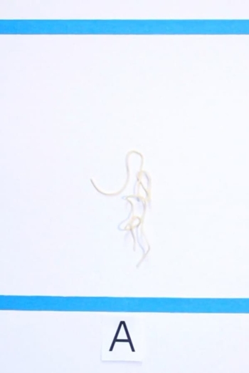 Nothing Comes from Talking (But Sound)