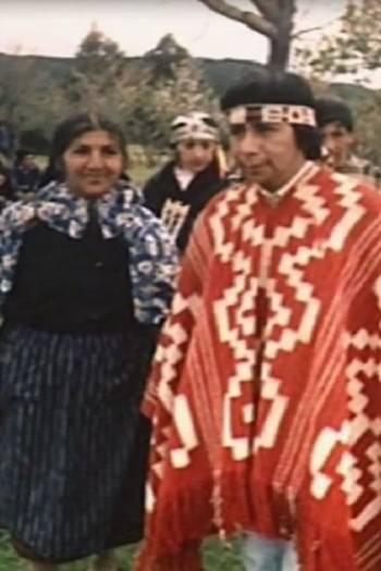 Somewhere North of Tierra del Fuego