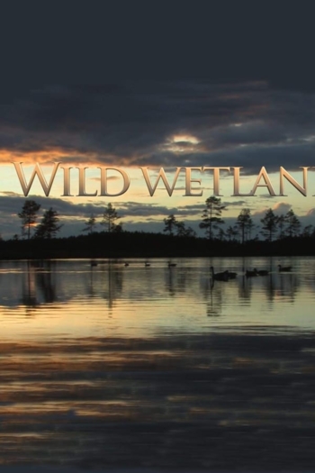 Wild Wetland