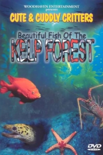 Beautiful Fish of the Kelp Forest