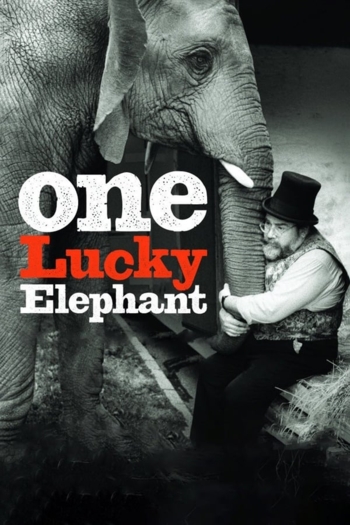 One Lucky Elephant