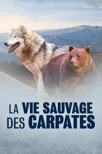 La vie sauvage des Carpates