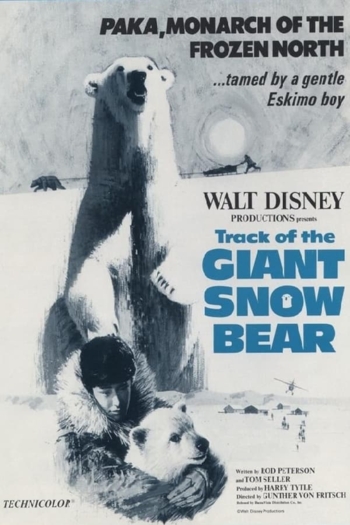 Snow Bear