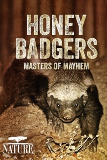Honey Badgers: Masters of Mayhem