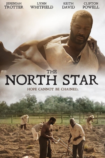 The North Star