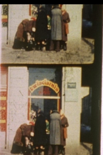 Notes for a Polish Jew