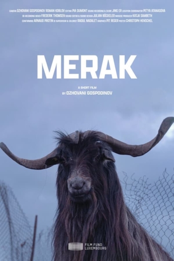 Merak
