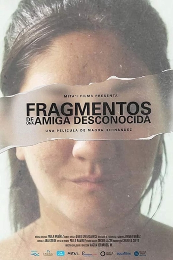 Fragments of an Unknown Friend