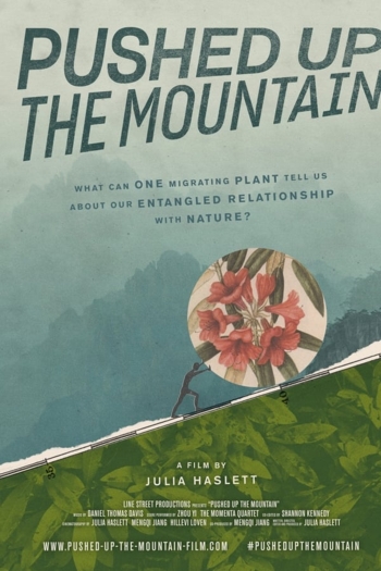 Pushed Up The Mountain