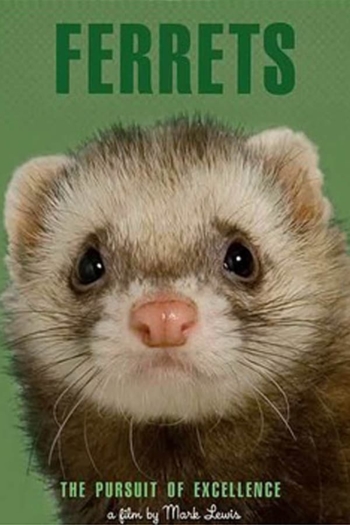 Ferrets: The Pursuit of Excellence