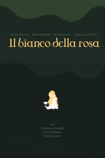 il bianco della rosa