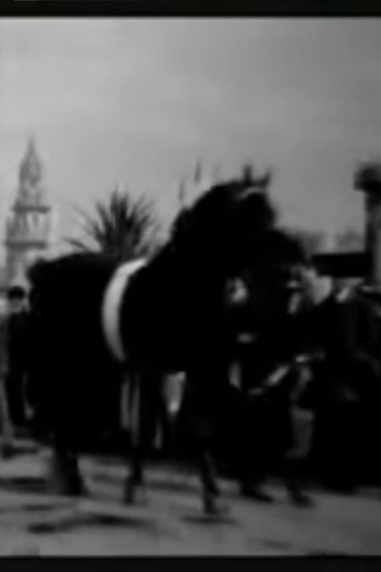 Horse Parade at the Pan-American Exposition