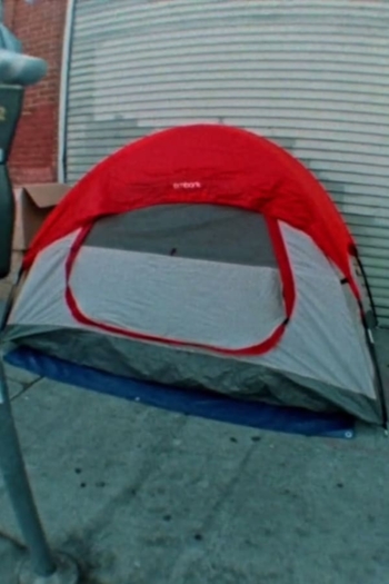 Dailies From the USA