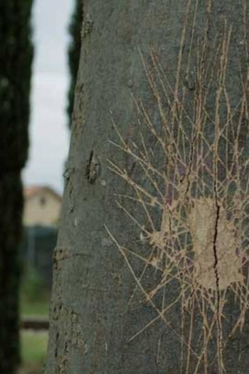 The Dying Soldier of Les Milles