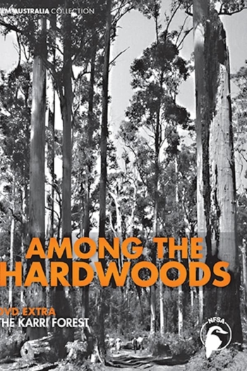 Among the Hardwoods