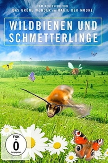 Kinder der Sonne - Unsere Schmetterlinge