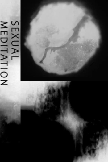 Sexual Meditation
