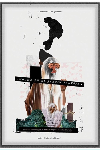 Night in the Wild Garden