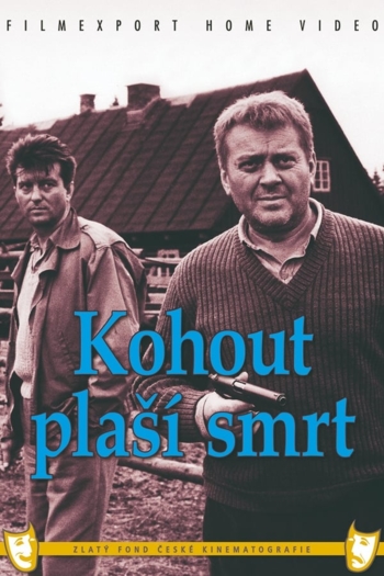 Kohout plaší smrt