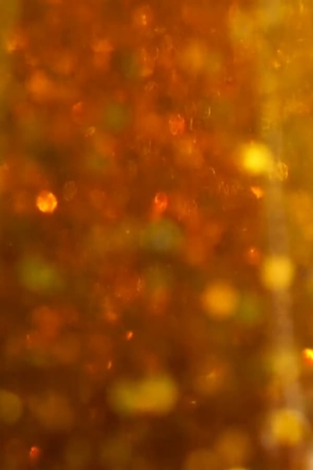 Ritual Visceral Memory