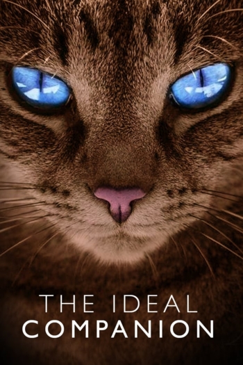 The Ideal Companion