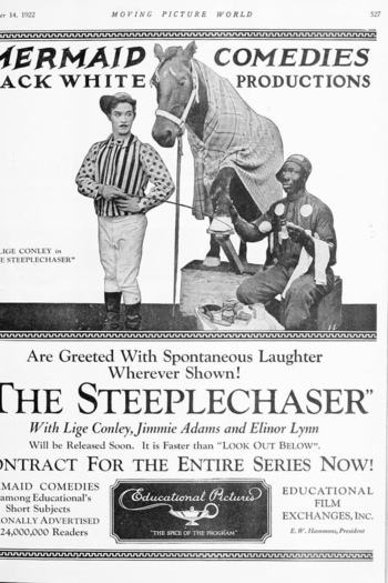 The Steeplechase