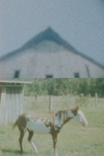 Our Landmark: My Fair Share