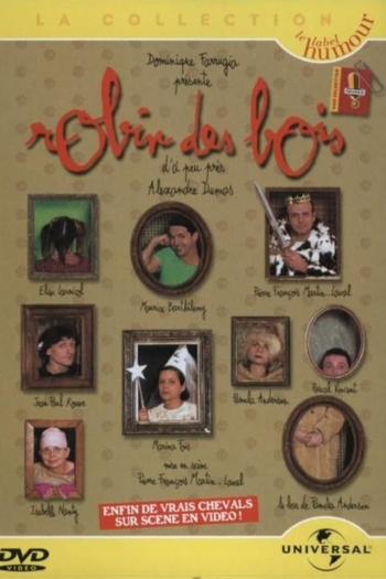 Robin des Bois d'à peu près Alexandre Dumas