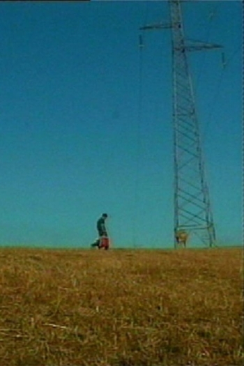 The Pursuit of Happiness